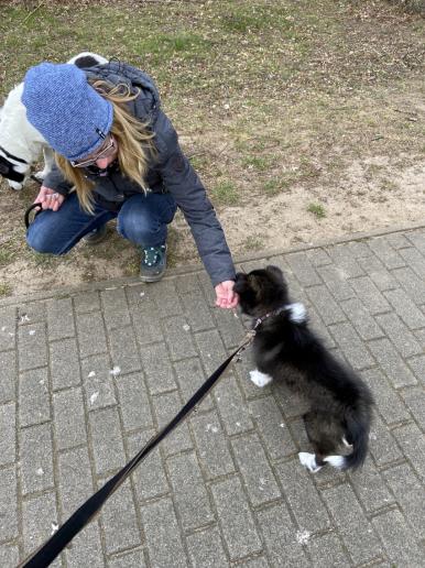 Lotte beim Spaziergang