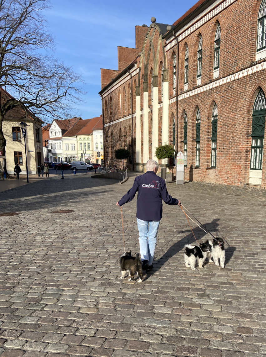 Vor dem Parchimer Rathaus