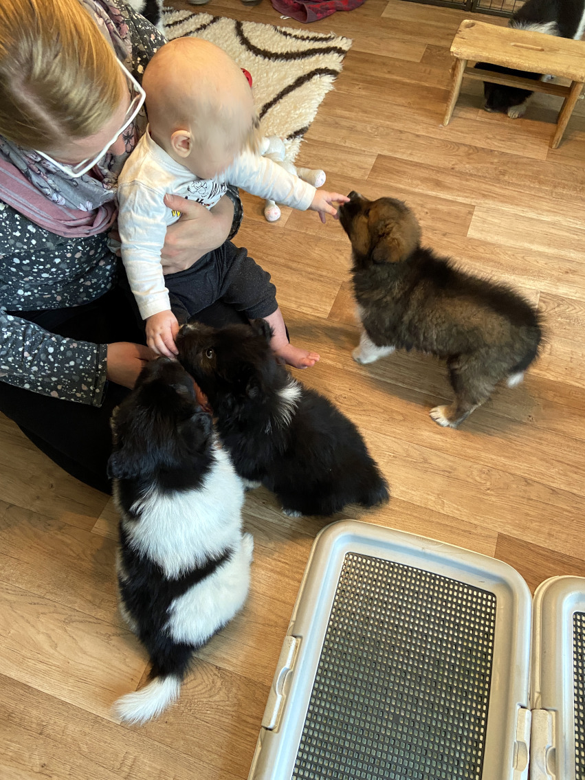 Kinderbegegnung.